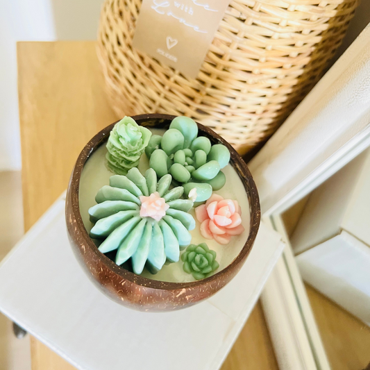 Eco-friendly Coconut Shell Succulent Candle