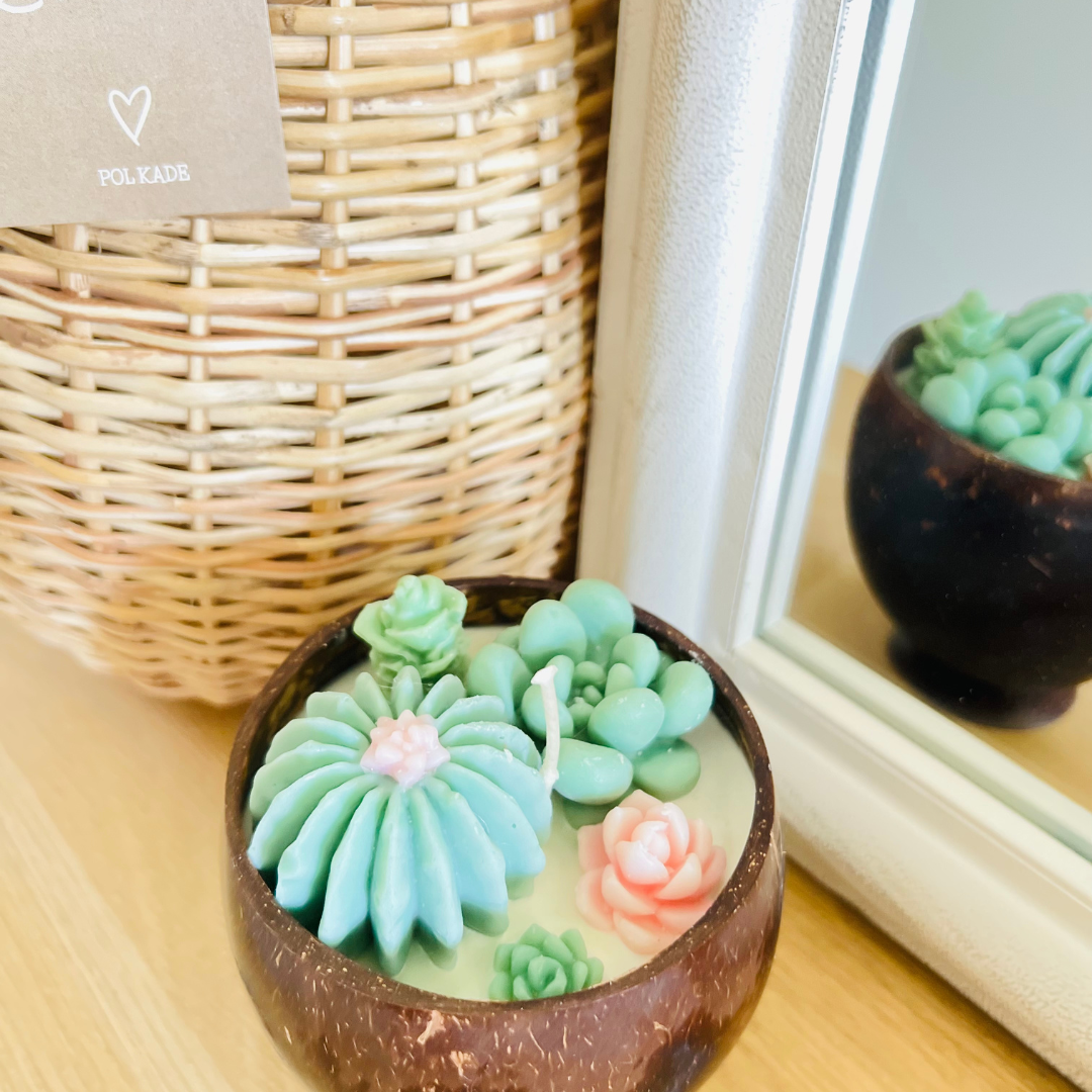 Eco-friendly Coconut Shell Succulent Candle