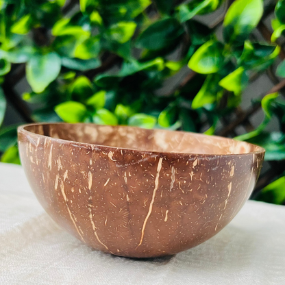 Mini Coconut Bowl /Shell