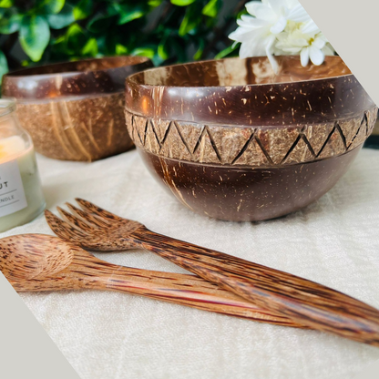 Coconut Bowl/Shell + Spoon Set, Eco Friendly & Toxin Free for Smoothie